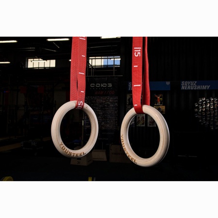 Купить Кольца гимнастические 32 мм красные стропы в Барыше 